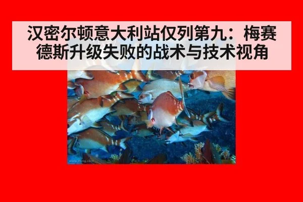汉密尔顿意大利站仅列第九：梅赛德斯升级失败的战术与技术视角