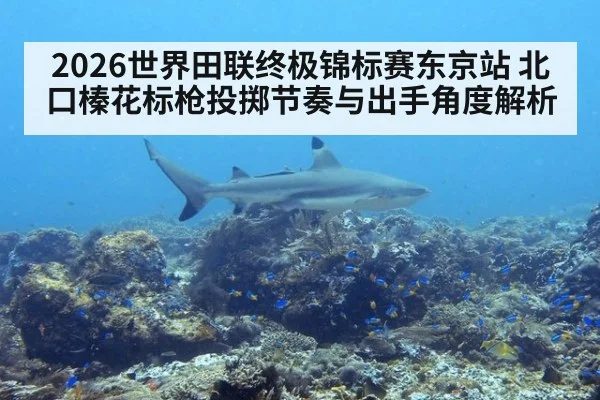 2026世界田联终极锦标赛东京站 北口榛花标枪投掷节奏与出手角度解析