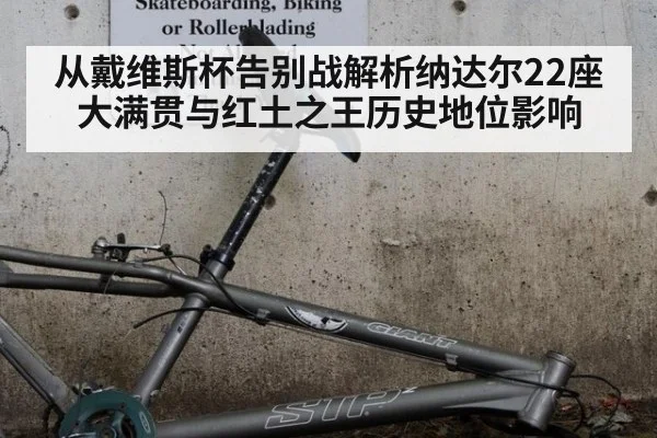 从戴维斯杯告别战解析纳达尔22座大满贯与红土之王历史地位影响